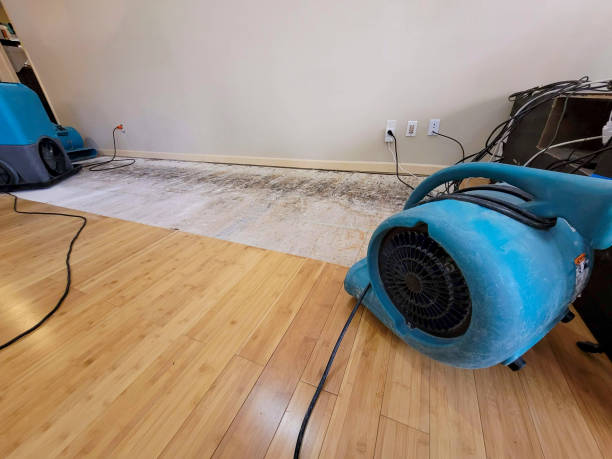 Professional Burst Pipe Water Damage technician working in McLain, MS